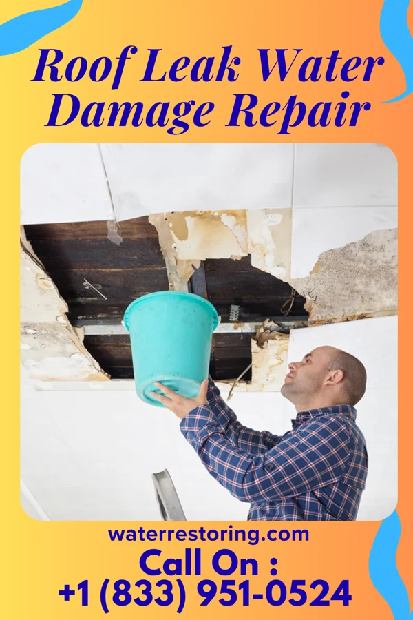 Roof Leak Water Damage Repair in Wapanucka, OK